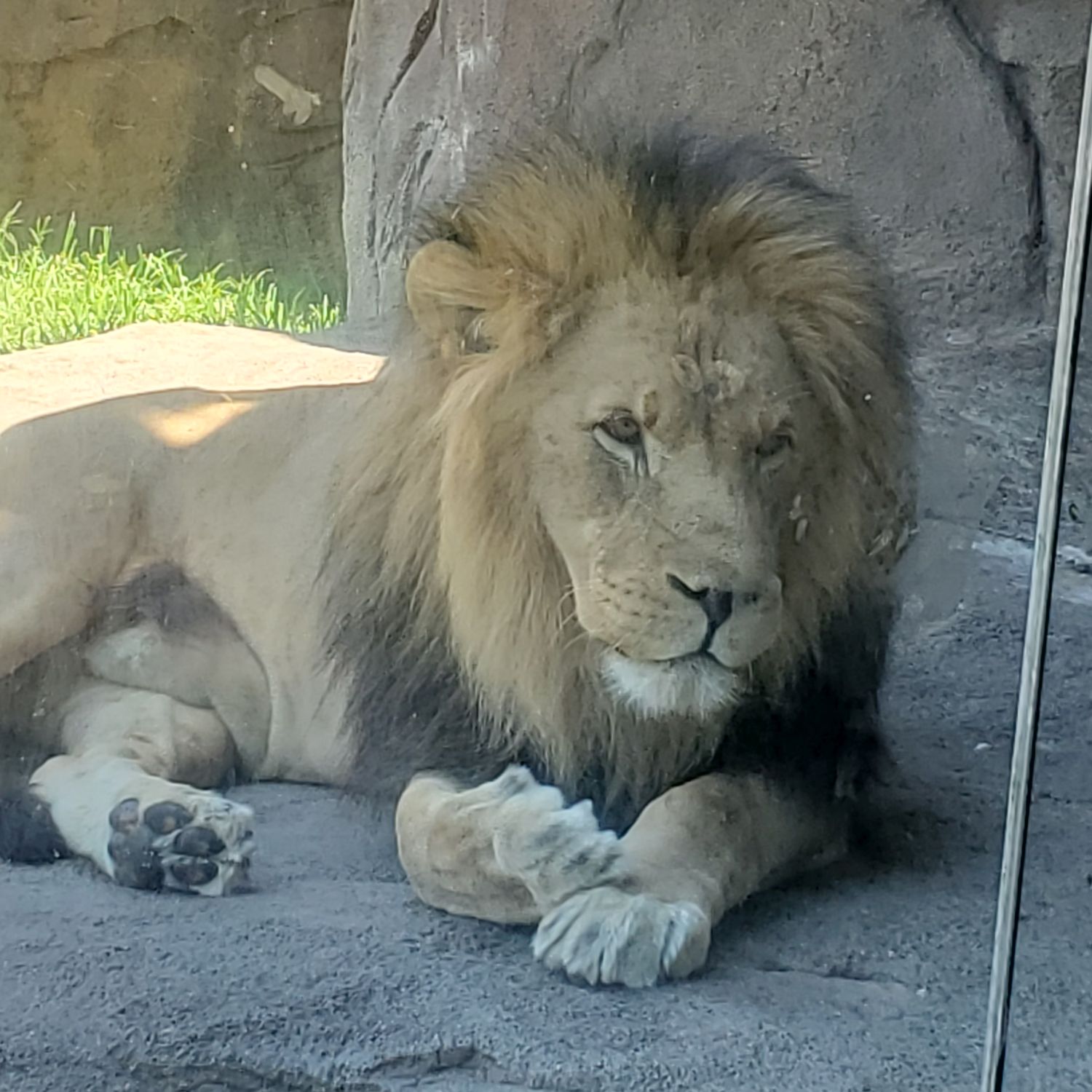 Sedgwick County Zoo 